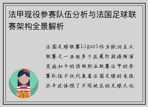 法甲现役参赛队伍分析与法国足球联赛架构全景解析